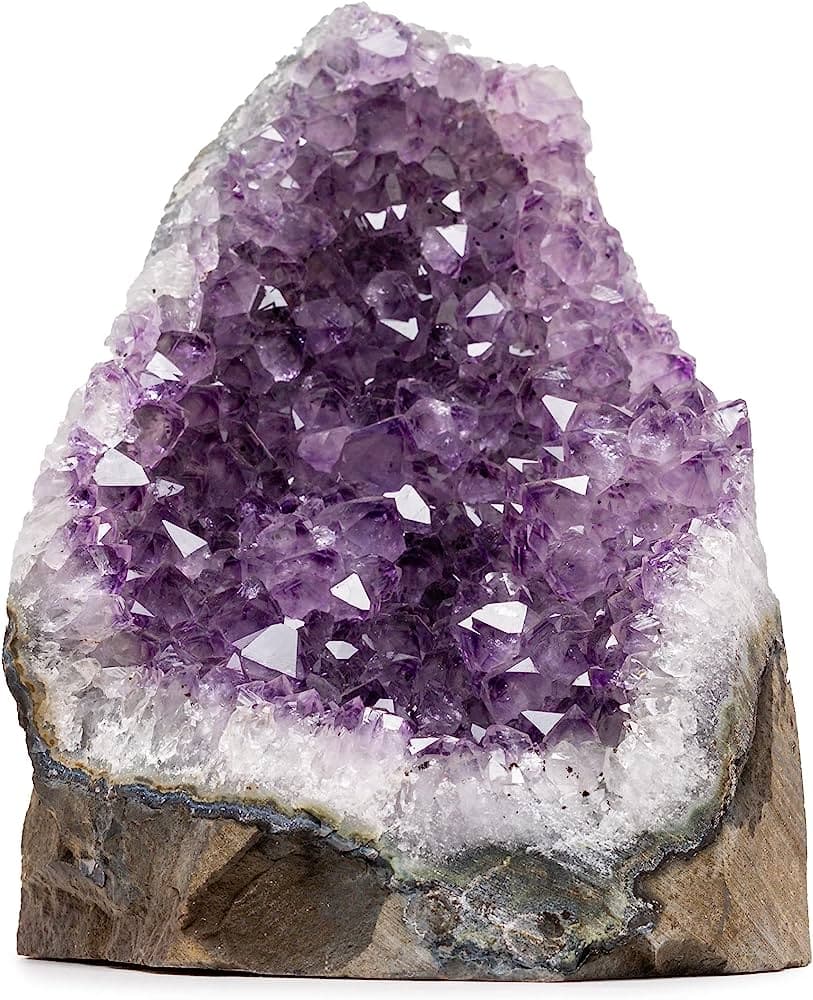 Plants And Crystals: Harnessing the Power of Nature for Healing And Balance
