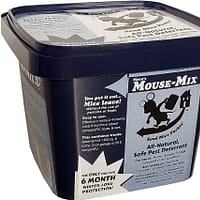 Mouse Trapping in Food Storage Areas: Safety And Prevention