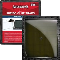 Choosing the Right Mouse Trap for Safe Trapping