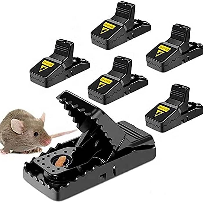 Are Mouse Traps Safe for Home Use?