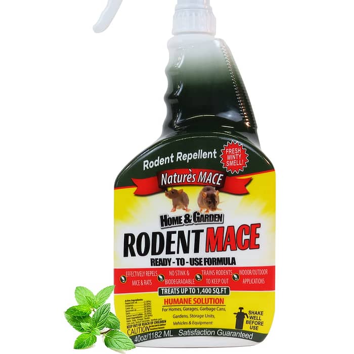 Effective Mouse Deterrents And Repellents to Keep Your Home Mouse-Free