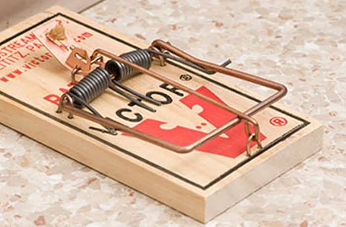 How to Choose the Right Mouse Trap