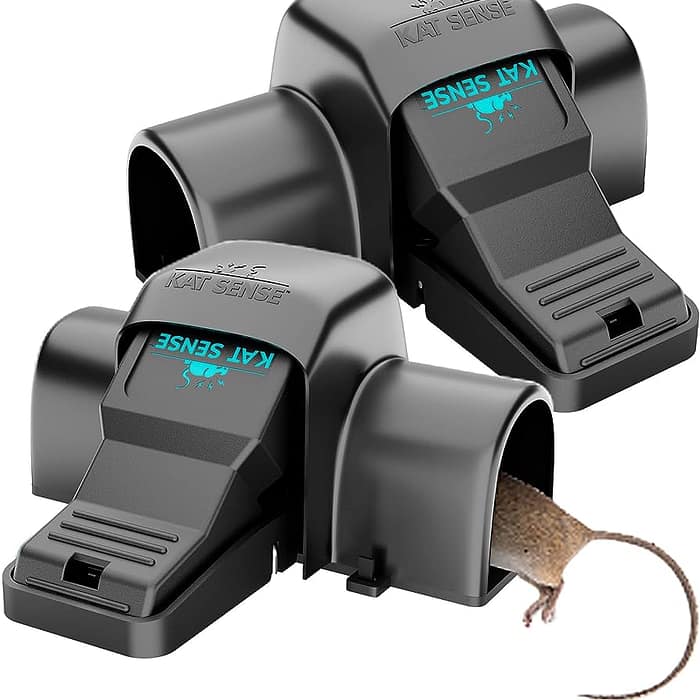 Preventing Accidental Injuries With Mouse Traps