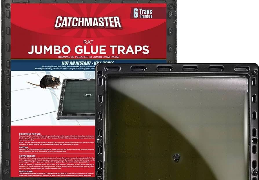 Choosing the Right Mouse Trap for Safe Trapping