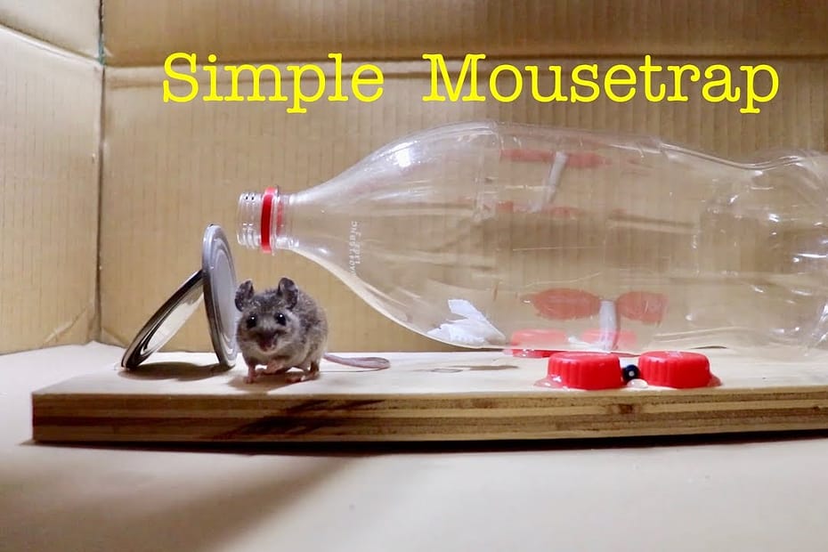 Diy Mouse Trap Ideas to Catch Mice at Home