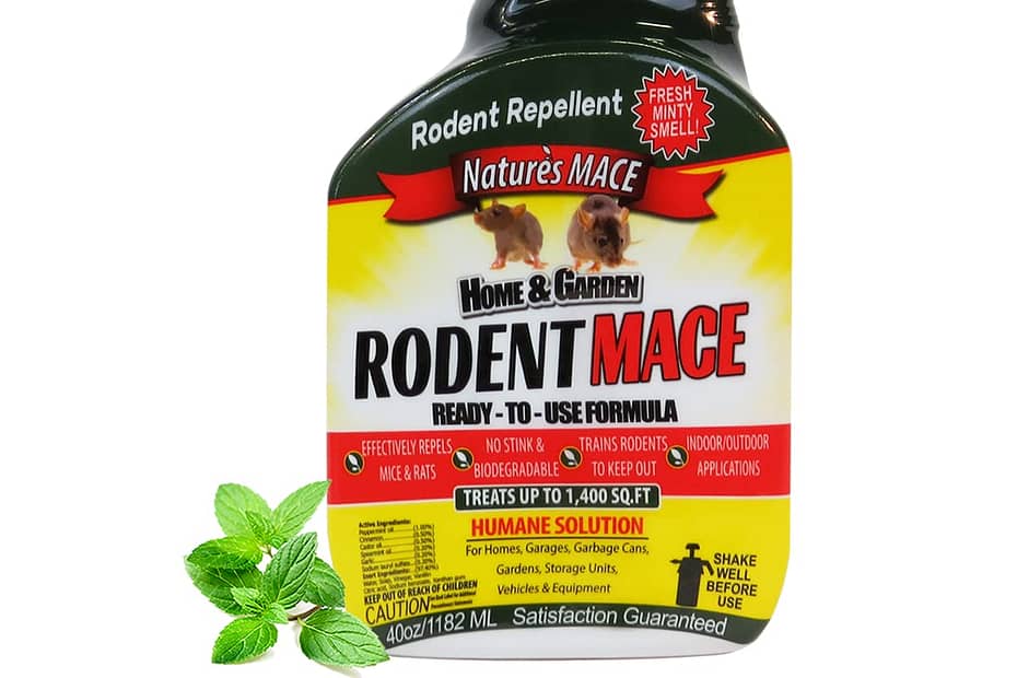 Effective Mouse Deterrents And Repellents to Keep Your Home Mouse-Free