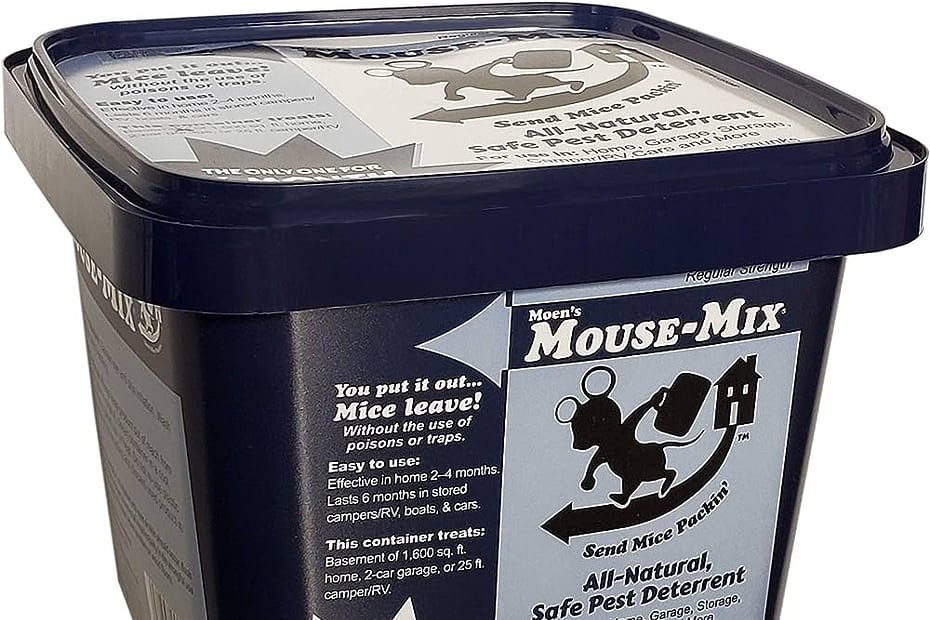 Mouse Trapping in Food Storage Areas: Safety And Prevention