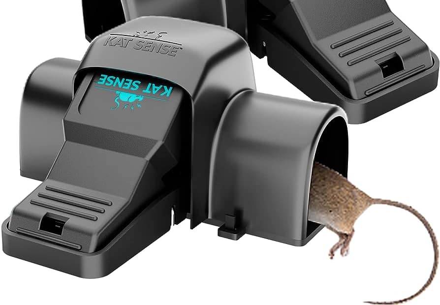 Preventing Accidental Injuries With Mouse Traps