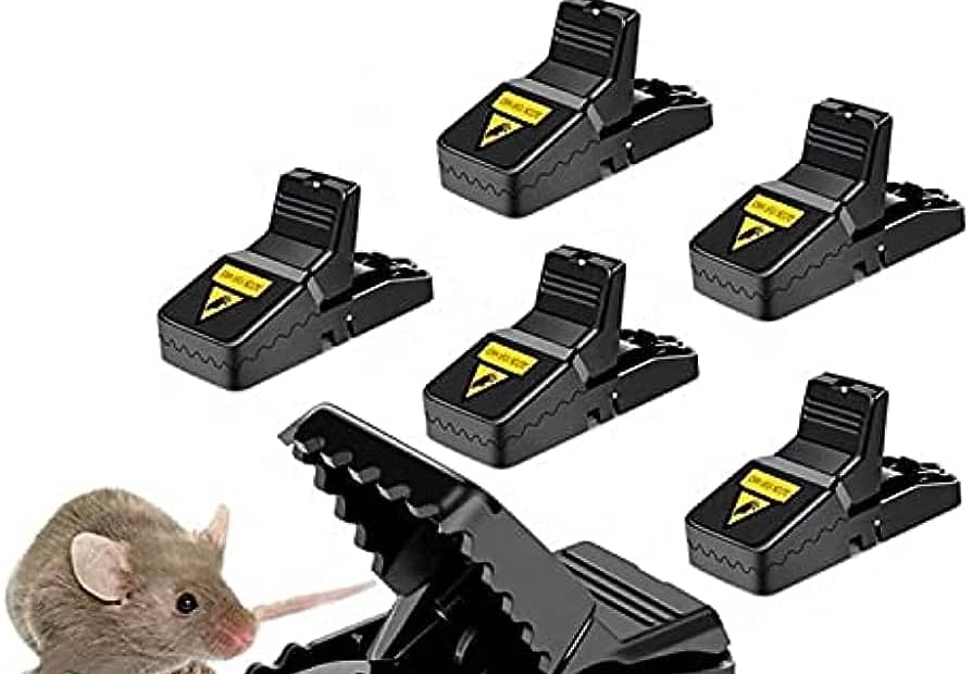 The Importance of Safety Gear for Mouse Trapping