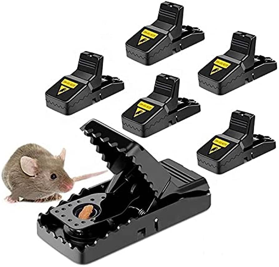 Are Mouse Traps Safe for Home Use?