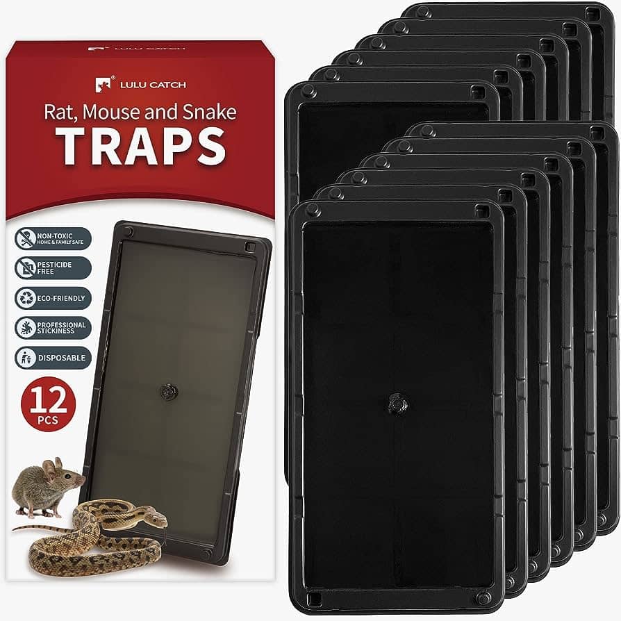 Ensuring Child And Pet Safety With Mouse Traps