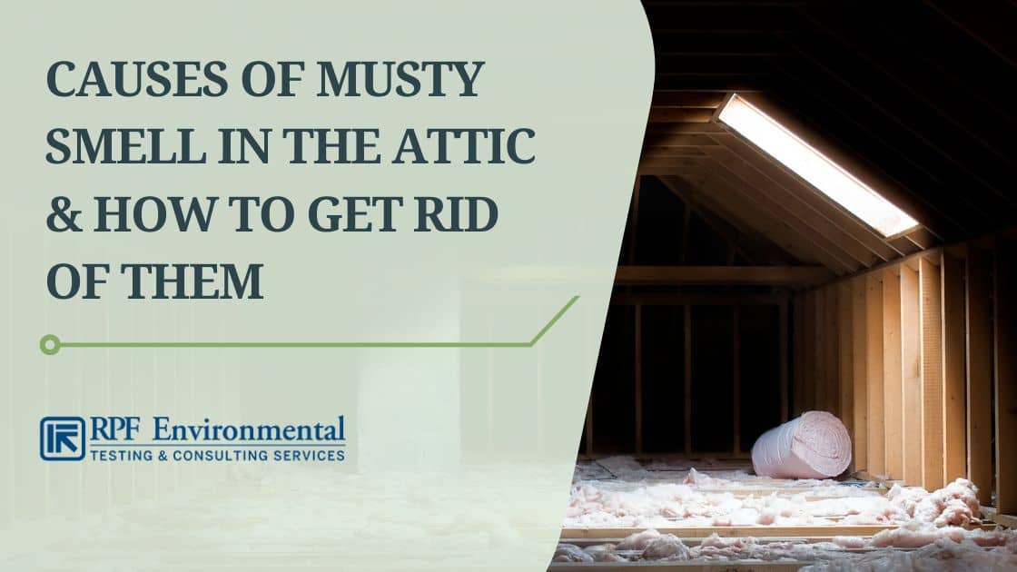 Musty Odors: A Smelly Indication of a Hidden Mouse Infestation